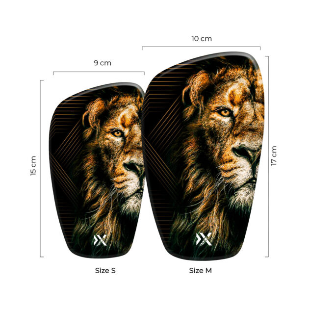Flex Tibia – Image 8